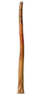 Jesse Lethbridge Didgeridoo (JL110)